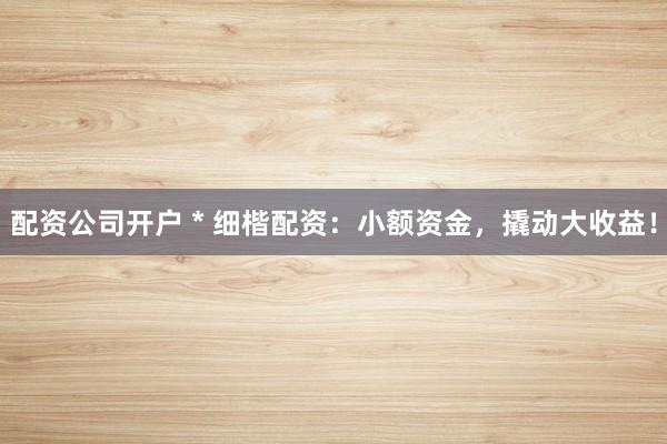 配资公司开户 * 细楷配资：小额资金，撬动大收益！