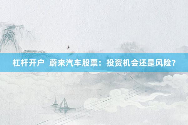杠杆开户  蔚来汽车股票：投资机会还是风险？
