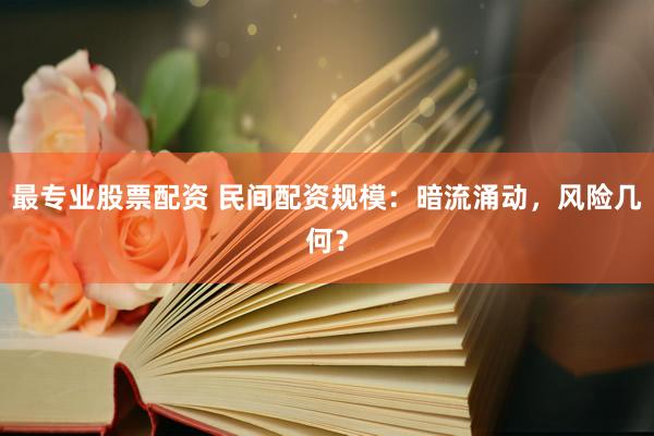 最专业股票配资 民间配资规模：暗流涌动，风险几何？