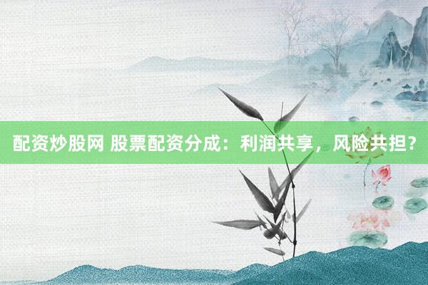 配资炒股网 股票配资分成：利润共享，风险共担？