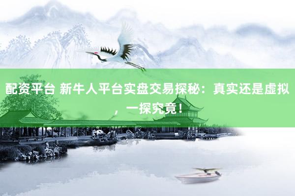 配资平台 新牛人平台实盘交易探秘：真实还是虚拟，一探究竟！
