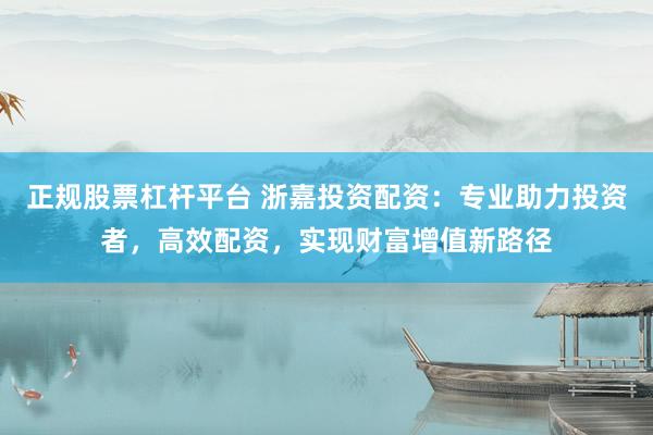 正规股票杠杆平台 浙嘉投资配资：专业助力投资者，高效配资，实现财富增值新路径