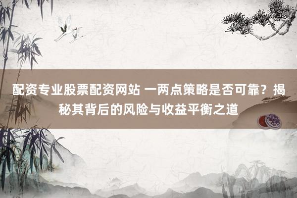 配资专业股票配资网站 一两点策略是否可靠？揭秘其背后的风险与收益平衡之道