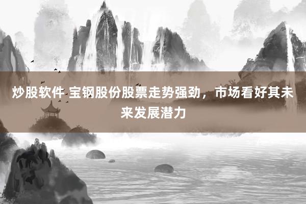炒股软件 宝钢股份股票走势强劲，市场看好其未来发展潜力