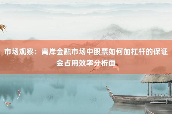 市场观察：离岸金融市场中股票如何加杠杆的保证金占用效率分析面