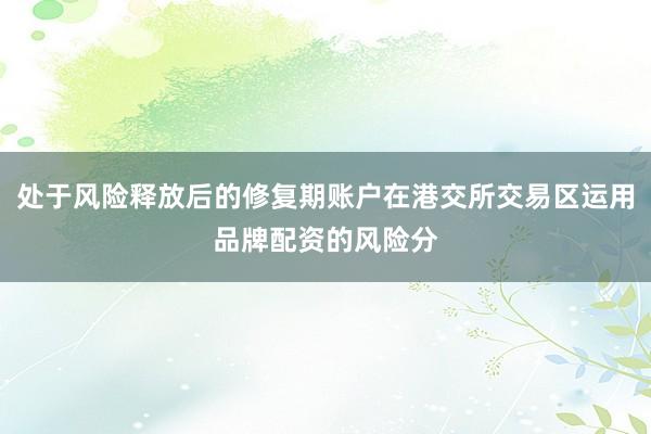 处于风险释放后的修复期账户在港交所交易区运用品牌配资的风险分
